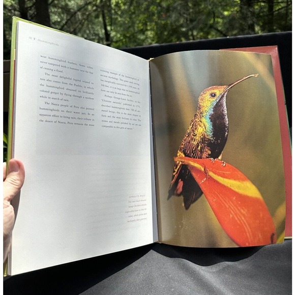 Hummingbirds Jewels on Air By Melanie Votaw Hardcover 2003 Stunning Photos -Bk19 - Picture 6 of 7